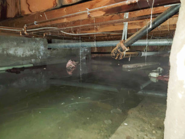 Best Water damage mitigation services  in Nazareth College, NY