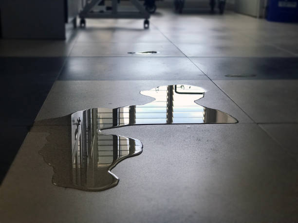 Best Basement water damage restoration  in Nazareth College, NY